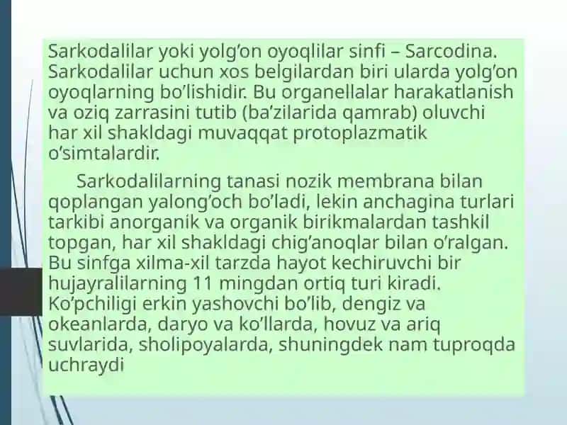 SARKODALILAR SINFI. 4
