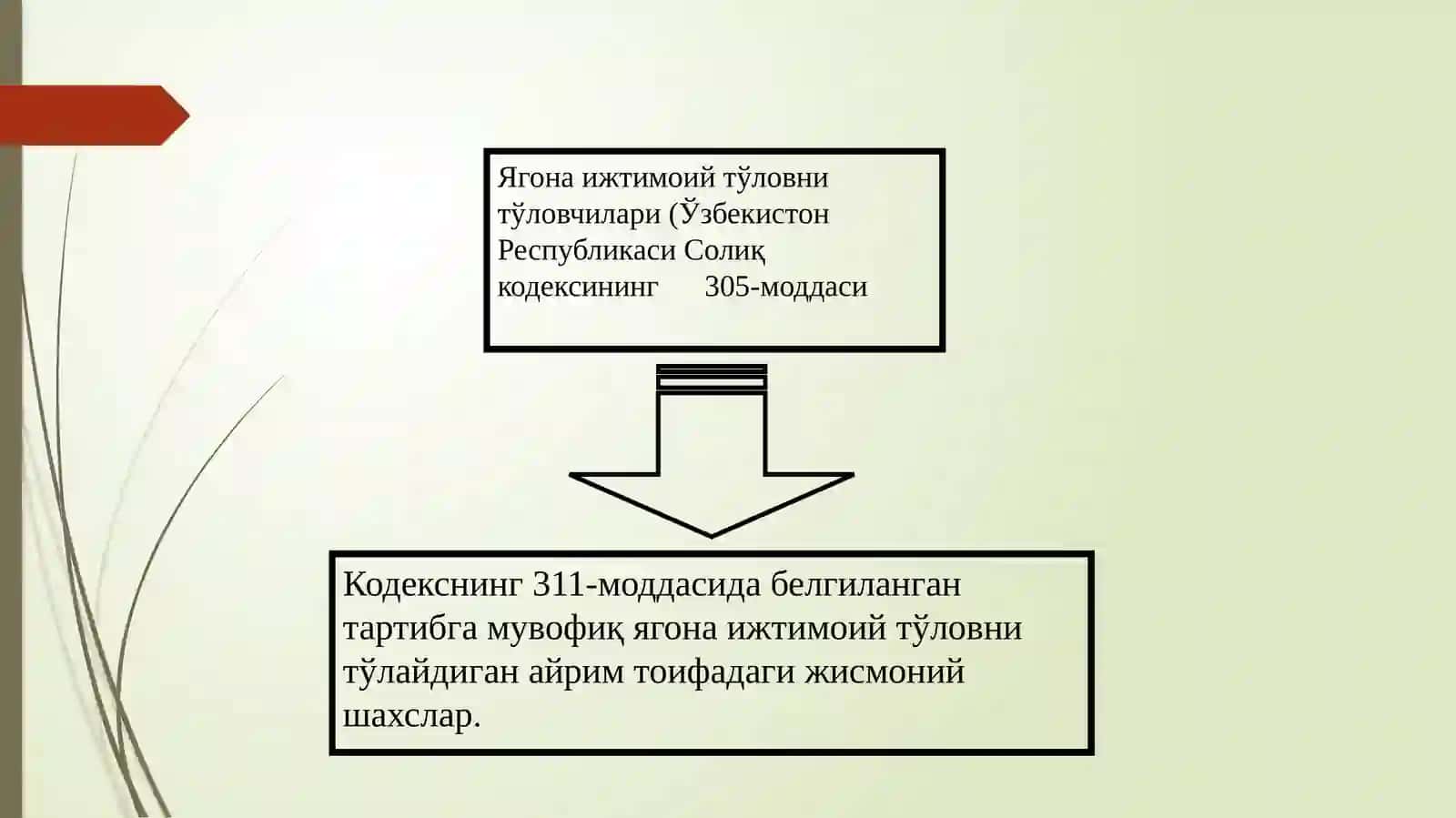 Ягона ижтимоий тўлов 4