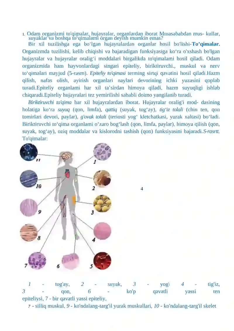 TO'QIMALAR, ORGANLAR VA ORGANIZM 4