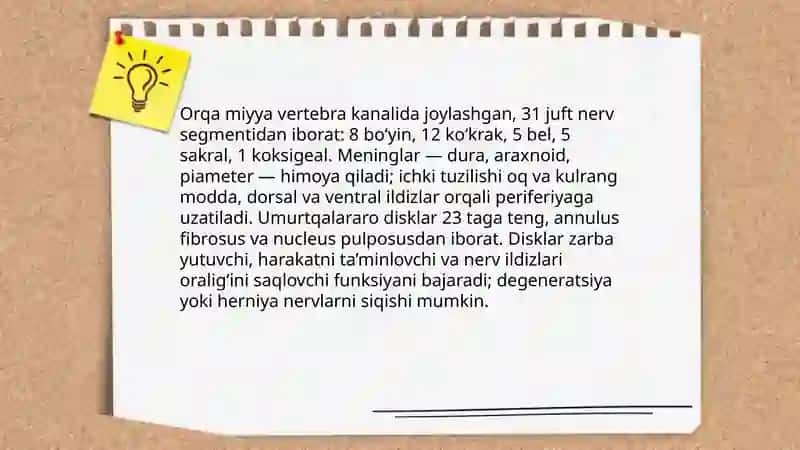 Orqa miyya disk churrasi 4