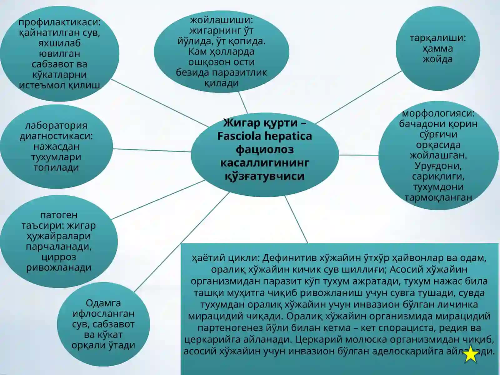 Тиббиёт гельминтологияси 4