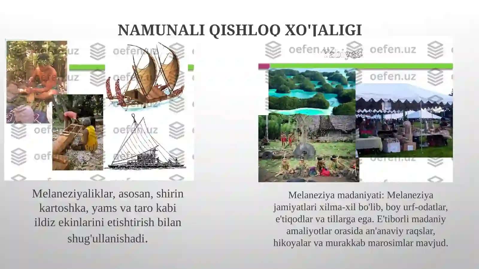 Melaneziya Xalqlari HoʻJaligi Va Madaniyati 4