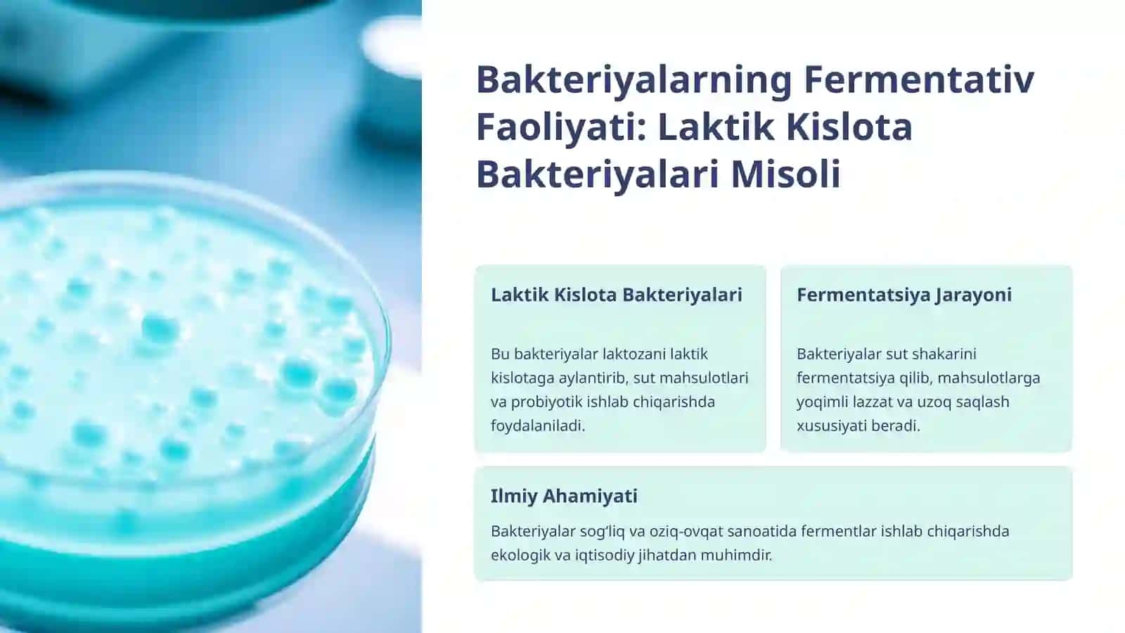 Fermentlar Ajratishda Ishtirok Etuvchi Mikroorganizmlar 4