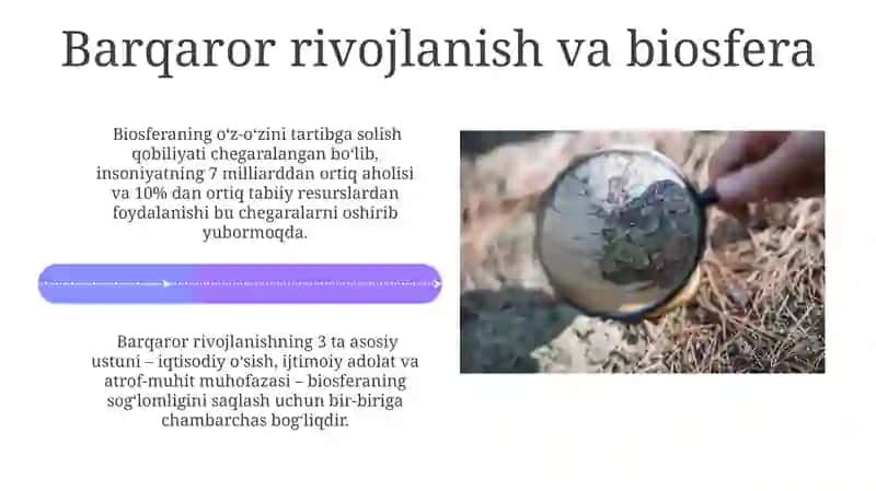 Biosferaning Tarkibi va Funktsiyalari 4