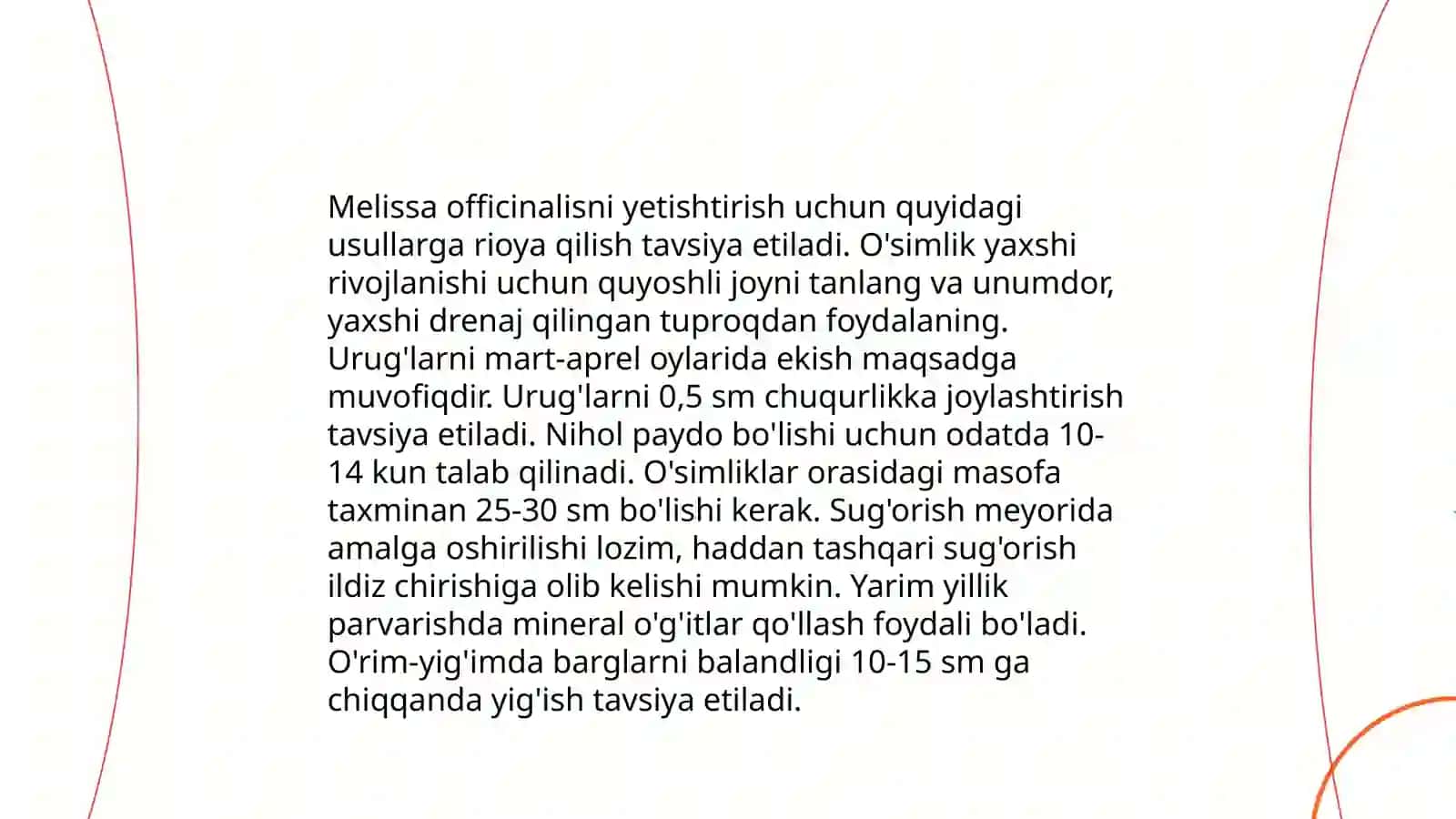 Melissa officinalis 4