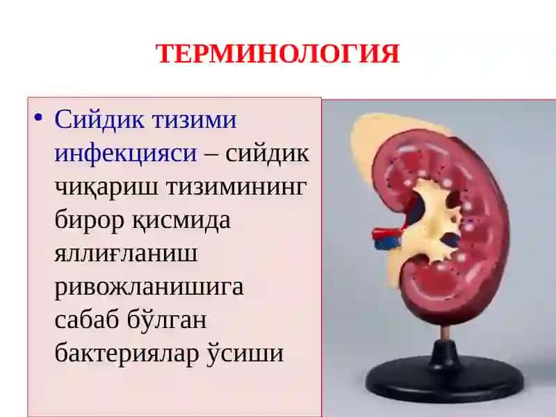 БОЛАЛАРДА ПИЕЛОНЕФРИТЛАР 4