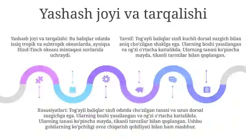 Tog'Ayli Baliqlar Sinfining Tavsifi 4