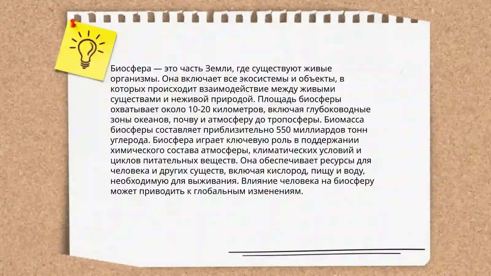 Экосистемы Земли 4