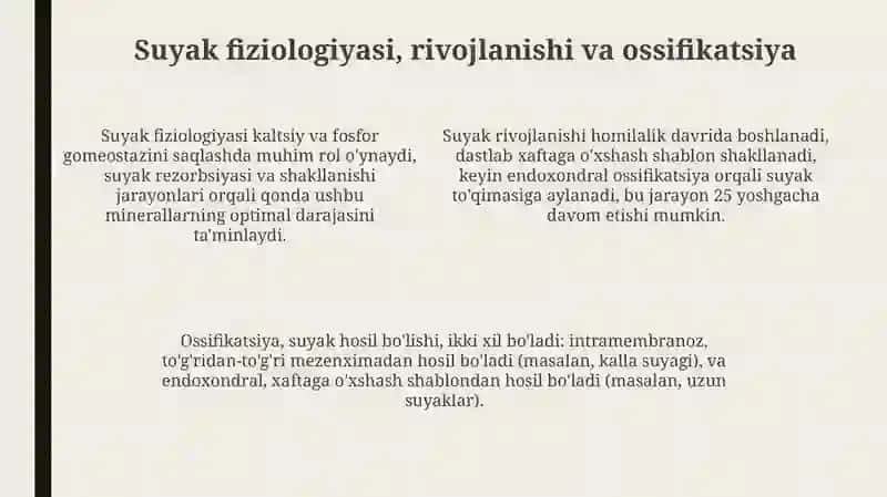 Osteologiya 4