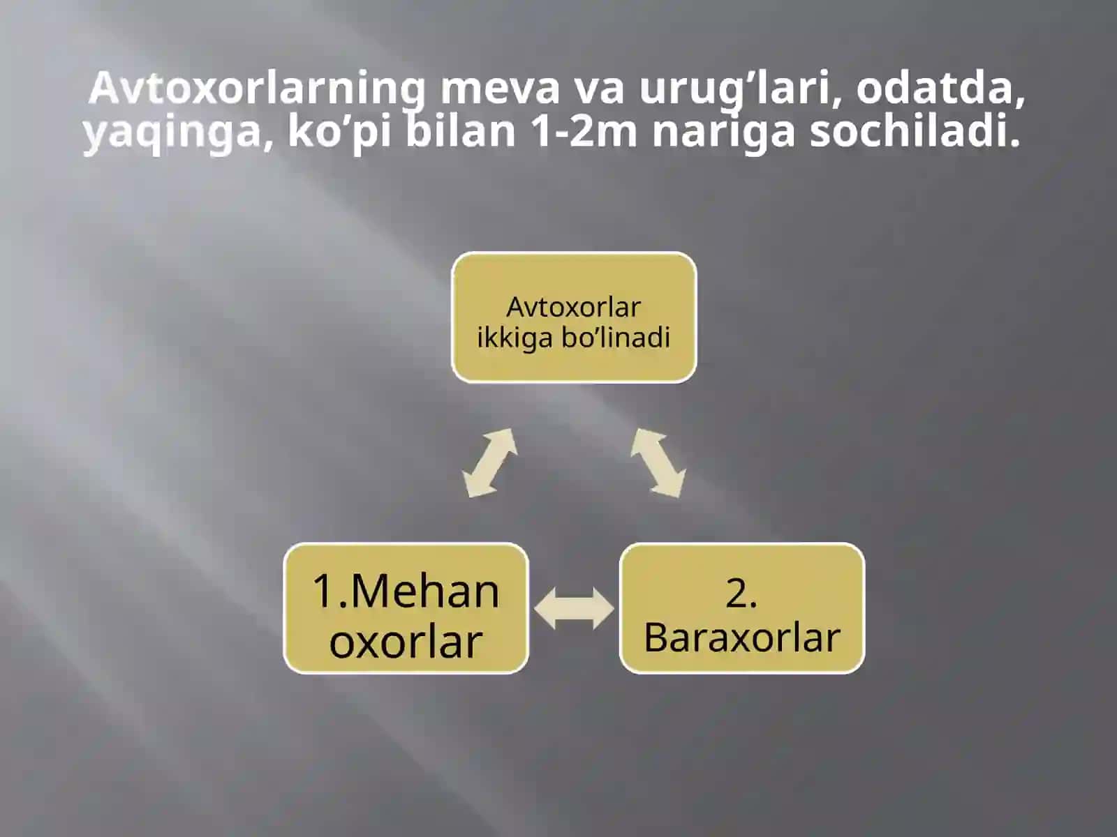 Mevava urug’larning tarqalishi 4