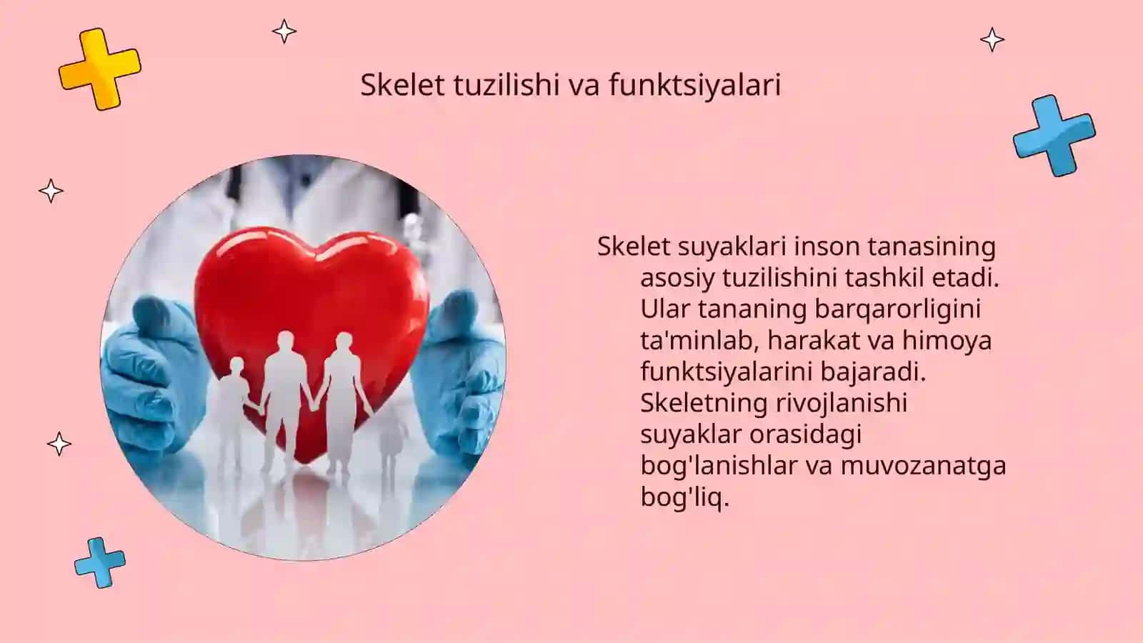 Skelet suyaklarini rentgen anatomiyasi 4