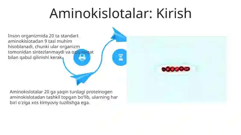 Aminokislotalar 4