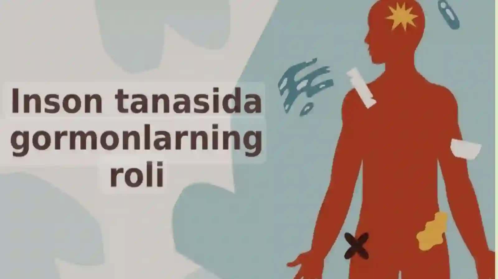 Gormonlarning organizmga ta'siri 4