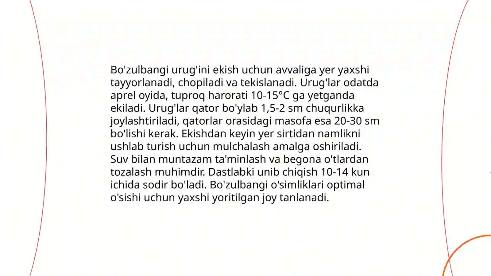 Bozulbangi o'simligi 4