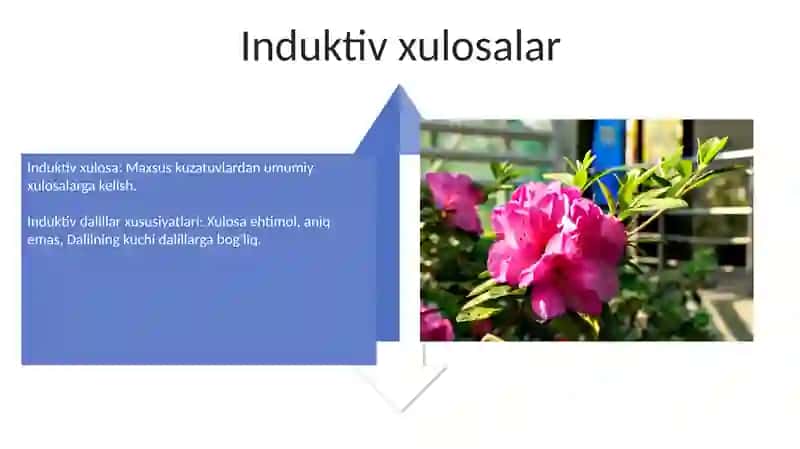Hujjat turlari va xususiyatlari 4
