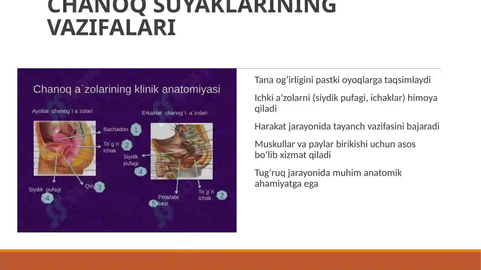 Chanoq suyaklari sinigʻi operatsiyasi turlari 4