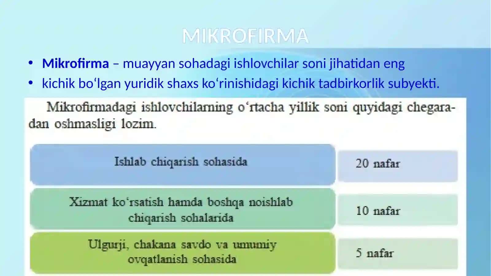 Mikrofirma  va  kichik  korxona 4