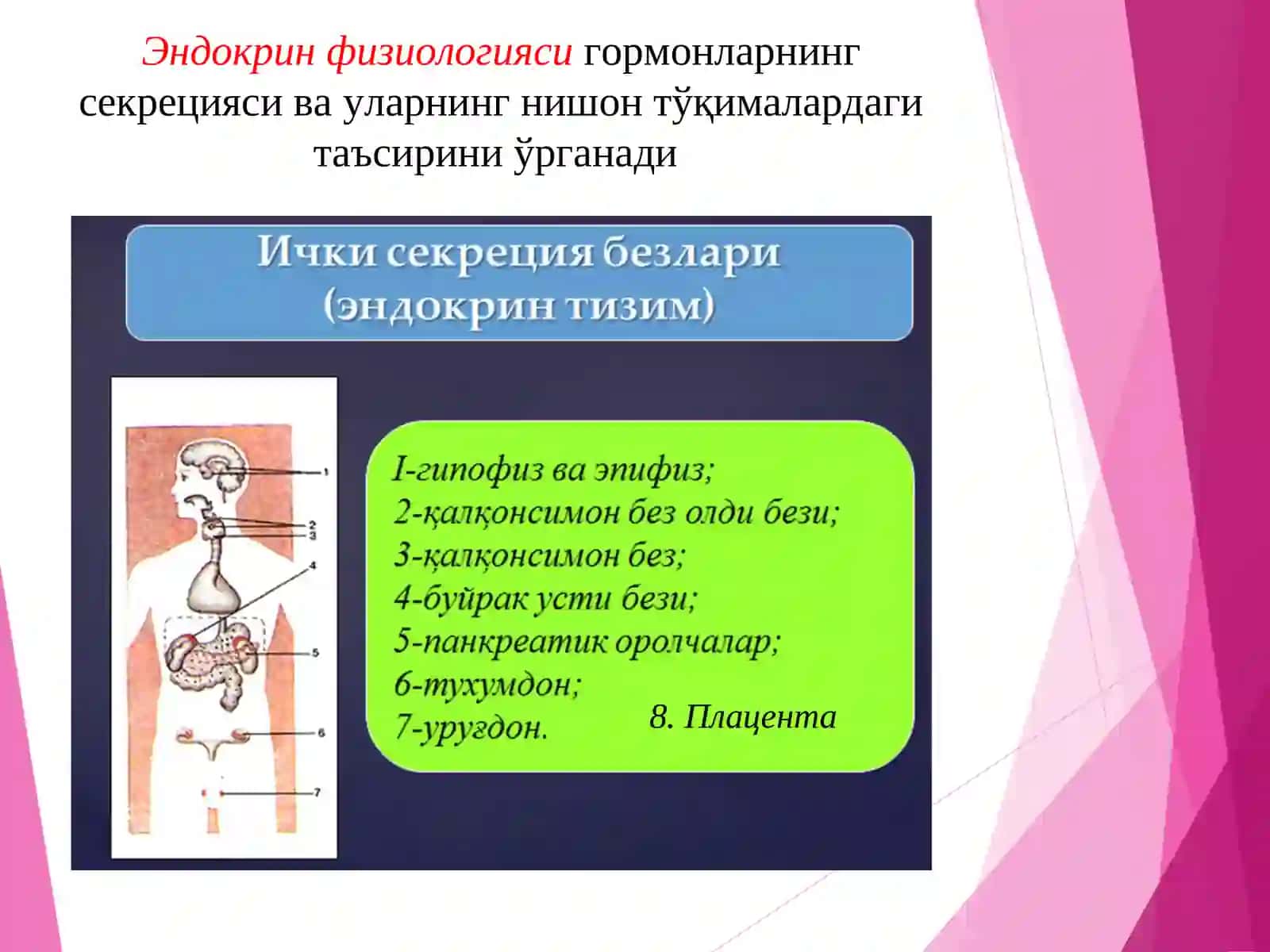 Физиология модуль дастури 4