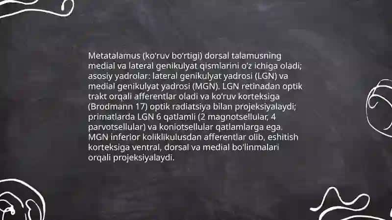 Oraliq Miya 4