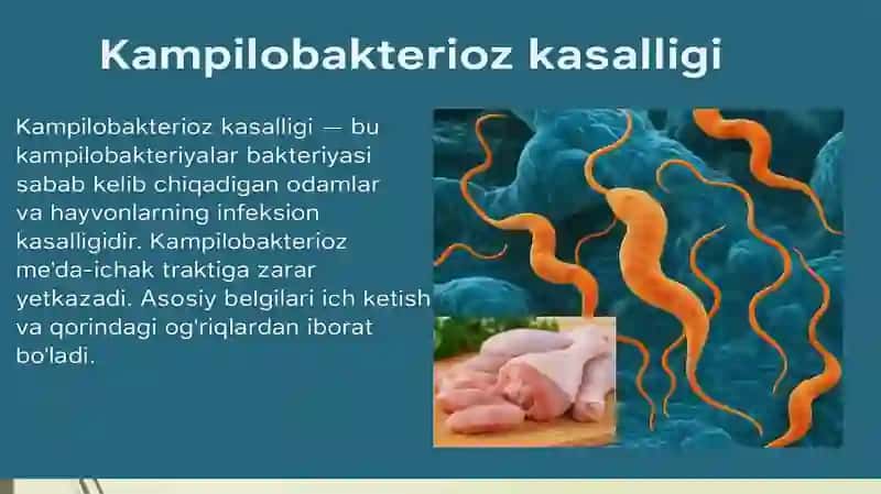 Kampilobakteriyalar ularning amaliyotdagi ahamiyati 4