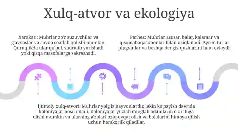 Yevropada Foydalanilgan Muhrlar 4