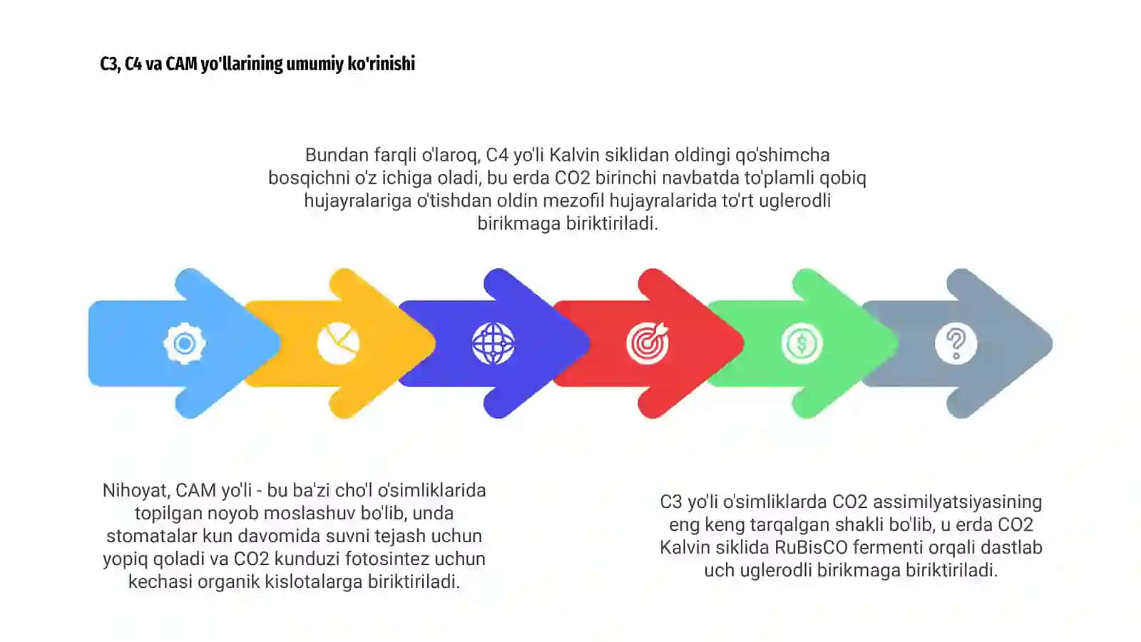 O'simliklarda CO2 assimilyatsiyasiga kirish 4