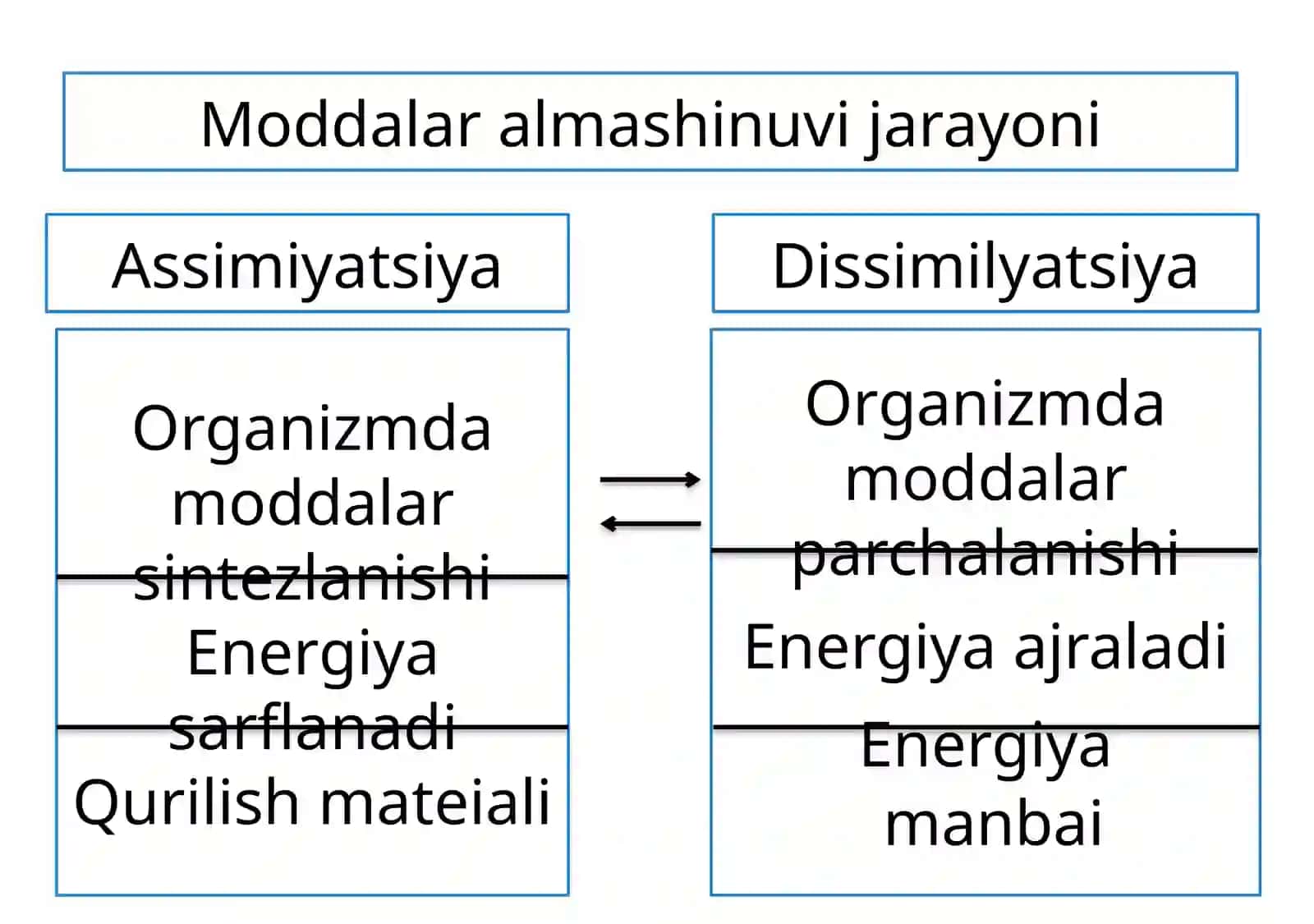 Hujayrava organizmining hayotiy xossalari 4