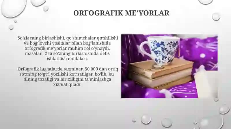 Oʻzbek adabiy tili meyorlari 4