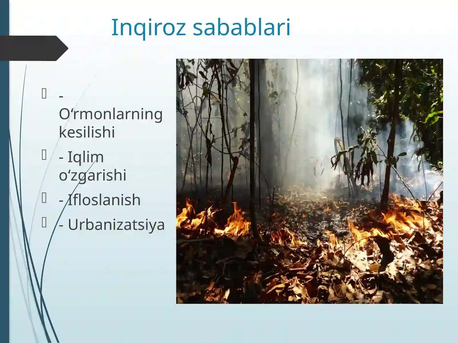 Global biologik xilma-xillik inqirozi 4