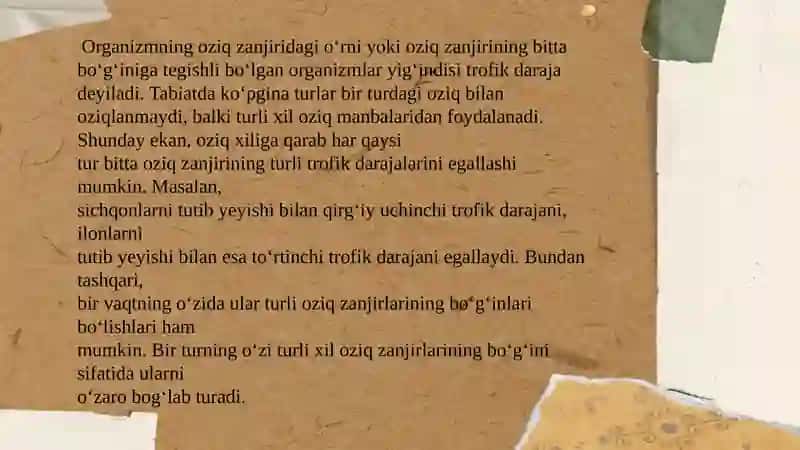 Trofik tuzilish va ekologik piramidalar 4