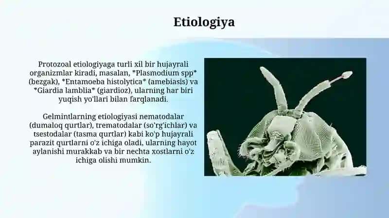 Parazitozlar (sodda jonivorlar va gelmintlar) 4