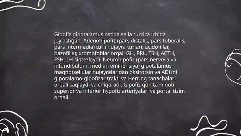 GIPOTALOMUS VA GIPOFIZ TIZIMI 4