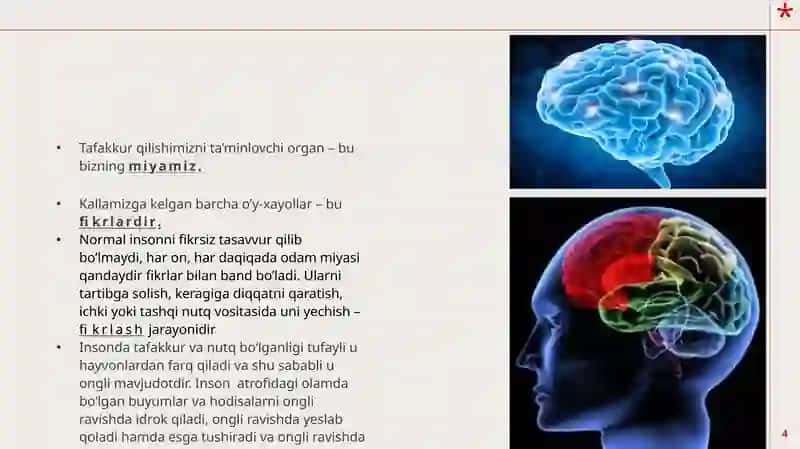 Tafakkur, Nutq va Intellekt 4