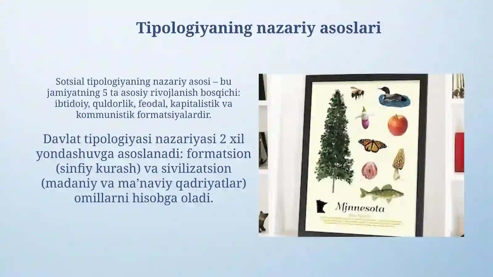 Davlat tipologiyasi 4