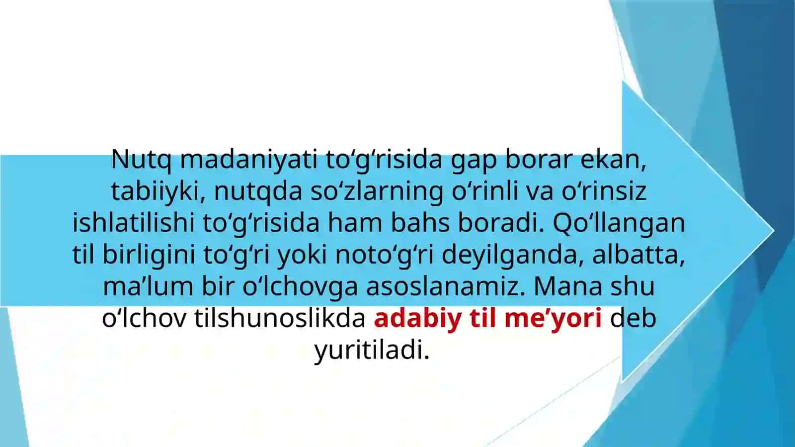 Adabiy til va uning meyorlari 4