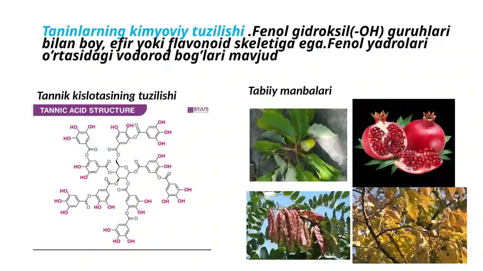 tanninlar. Ajratish usullari va biologik faolligi 4