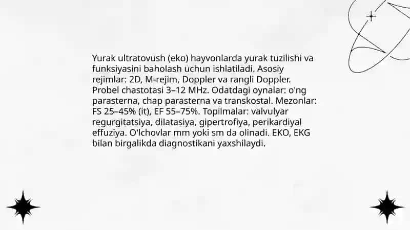 Veterinariyada UDT(uzi) diagnostikasi 4