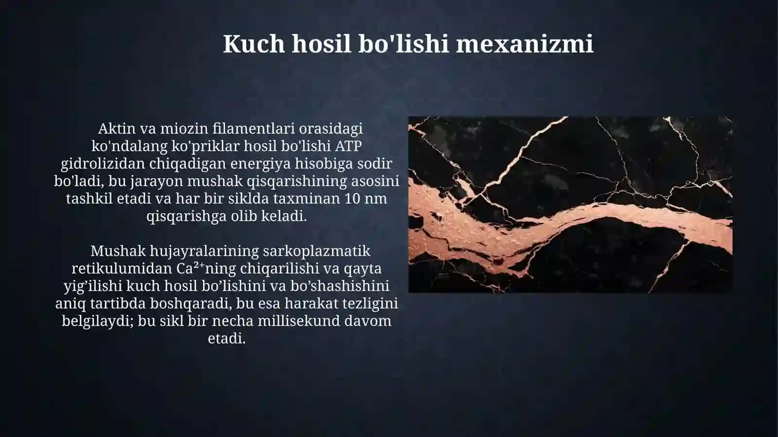 Mushak qisqarishining marfalogik asoslari 4