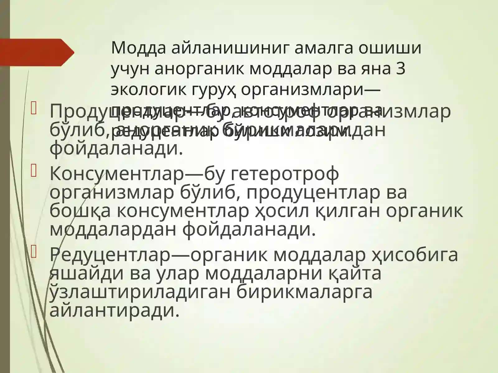 Экосистемалар 4