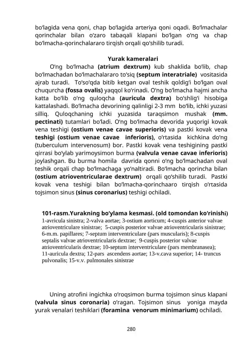 Qon tomirlar tizimi haqidagi ilm-angiologiya 4