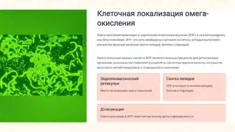 Самостоятельная работа по биологической химии 4