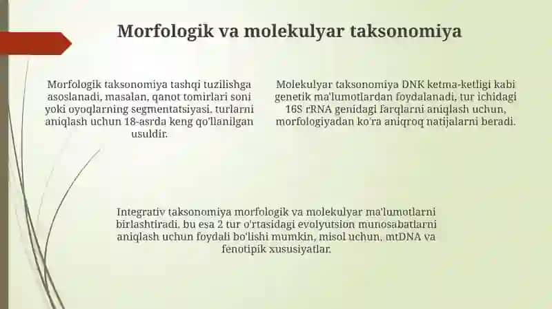 Hasharotlar sistematikasi 4