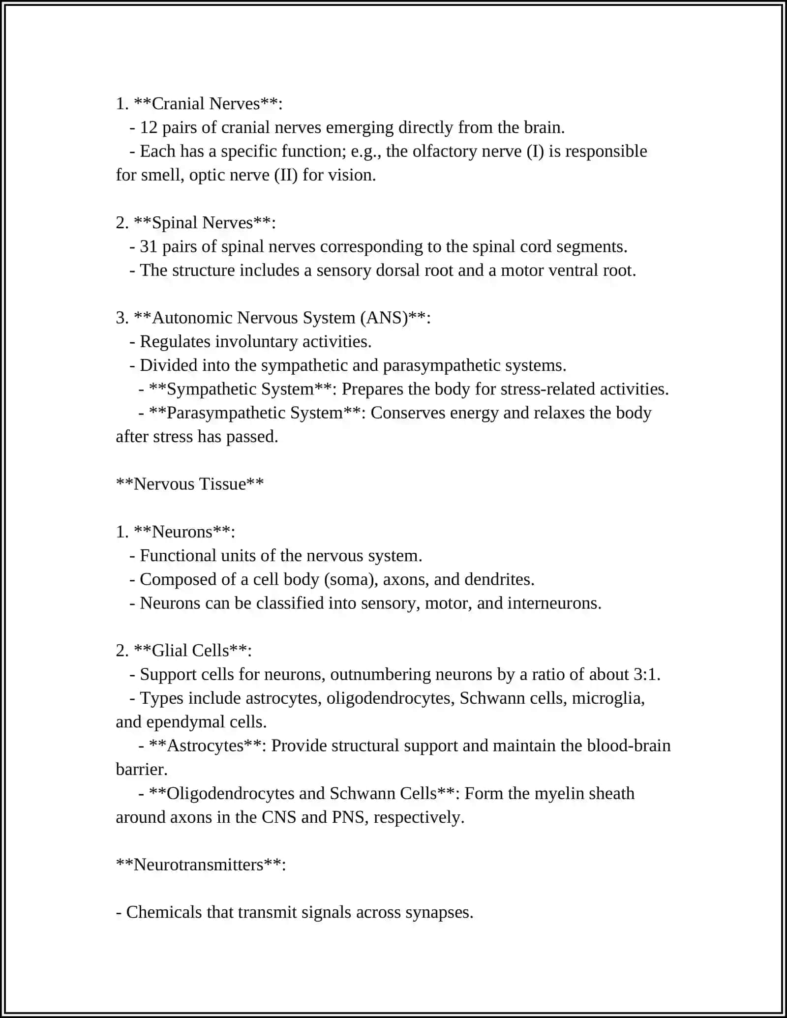 Anatomy of the Nervous System 4