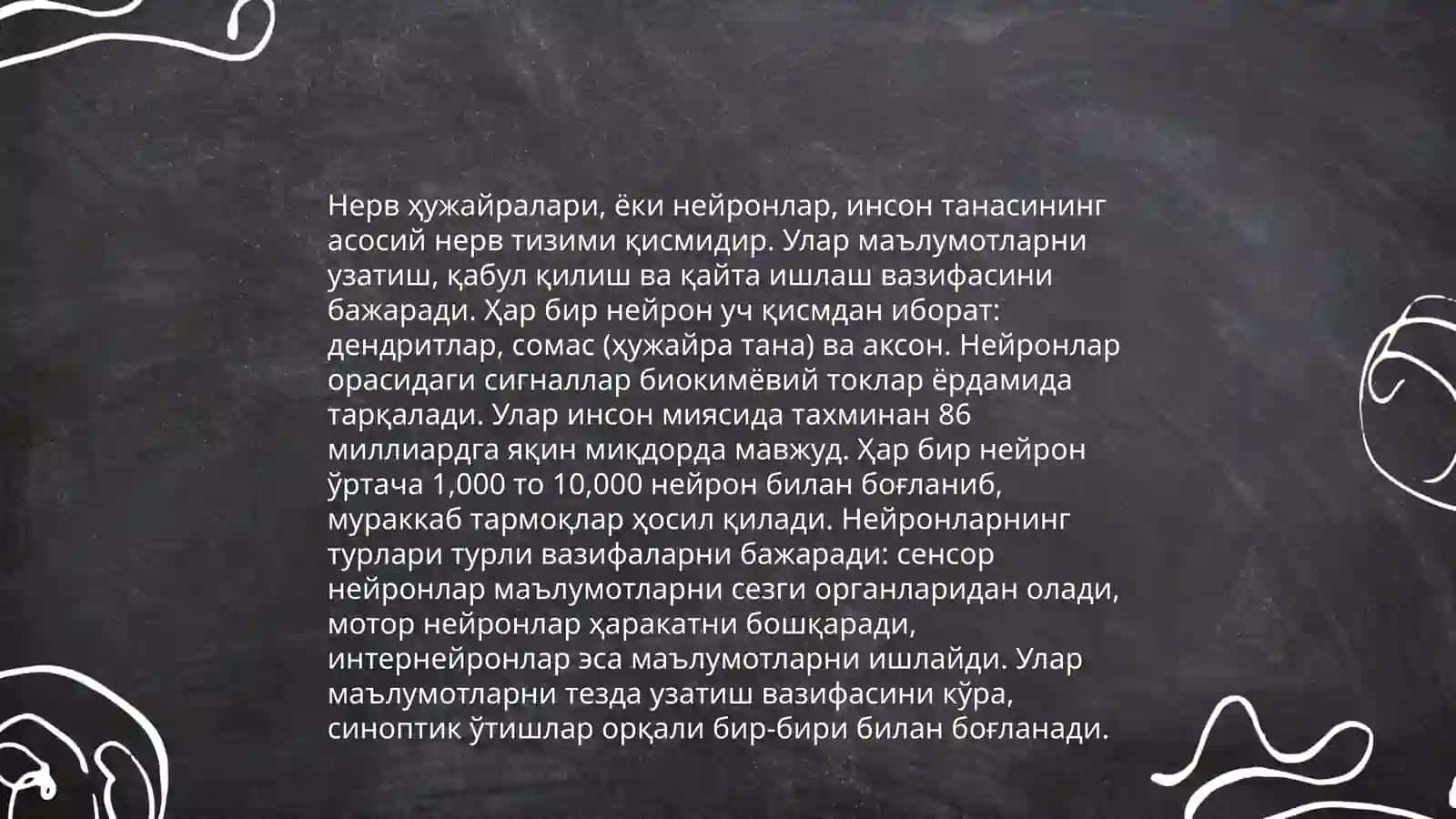 Нерв мушак тизими ҳақида маълумот 4