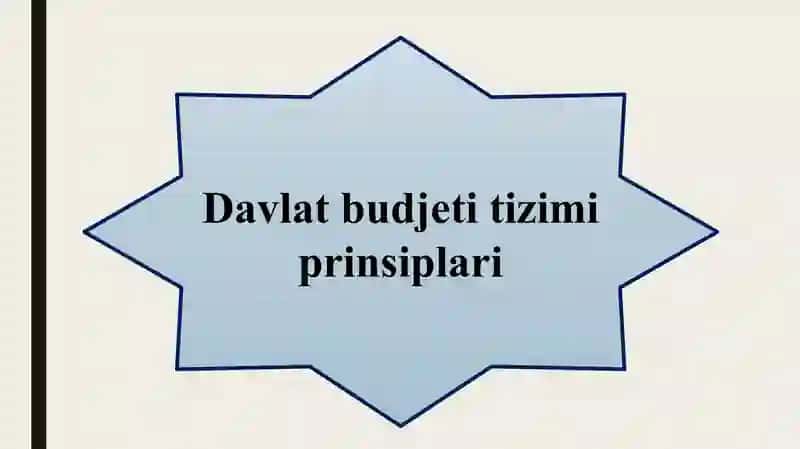 DAVLAT BUDJETI 4