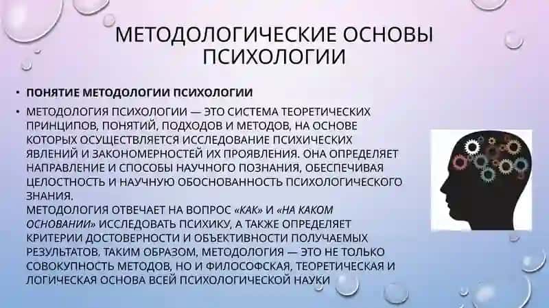 слайд,презинтация или slayd 4