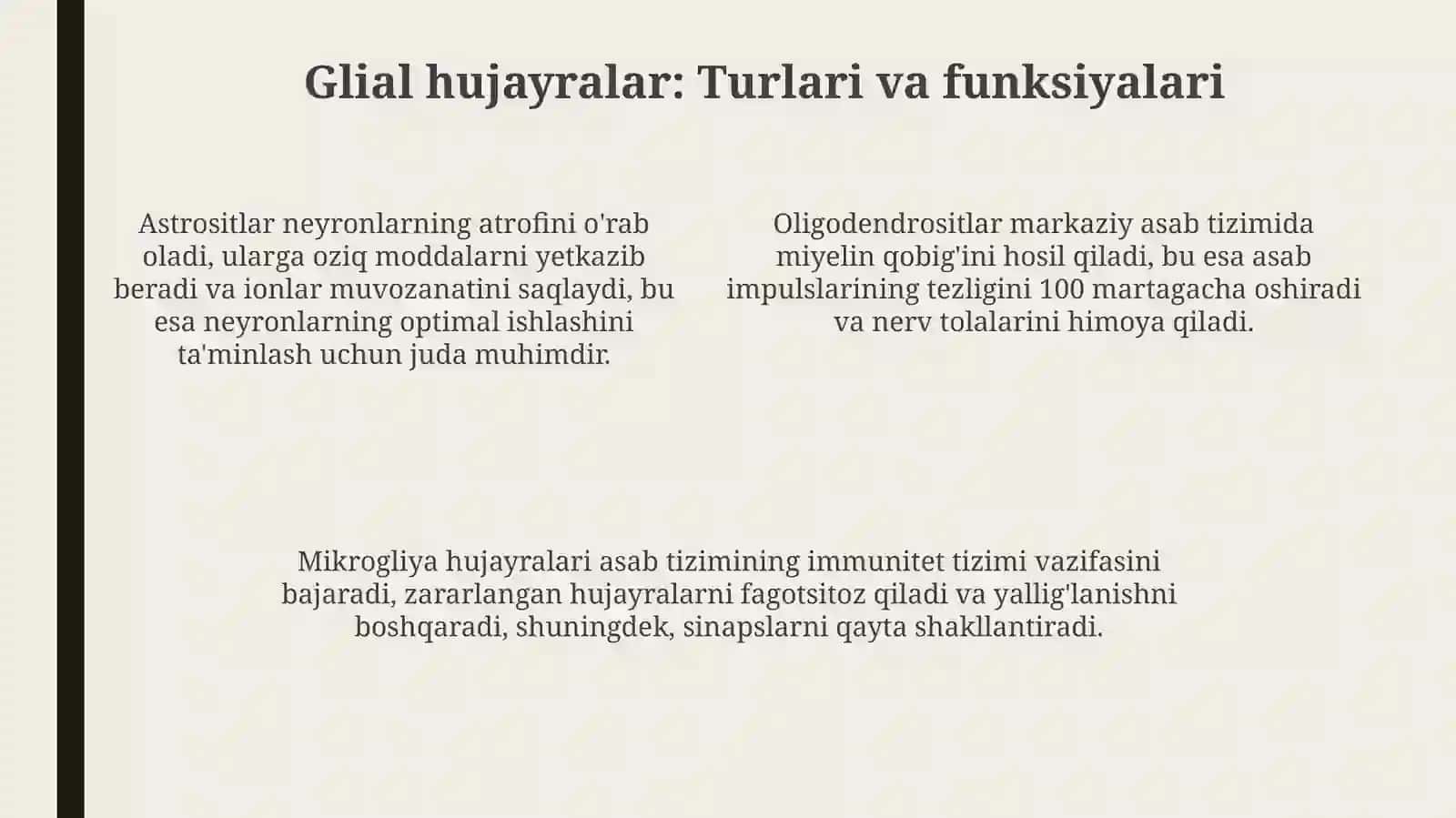 Nervto'qimasi 4