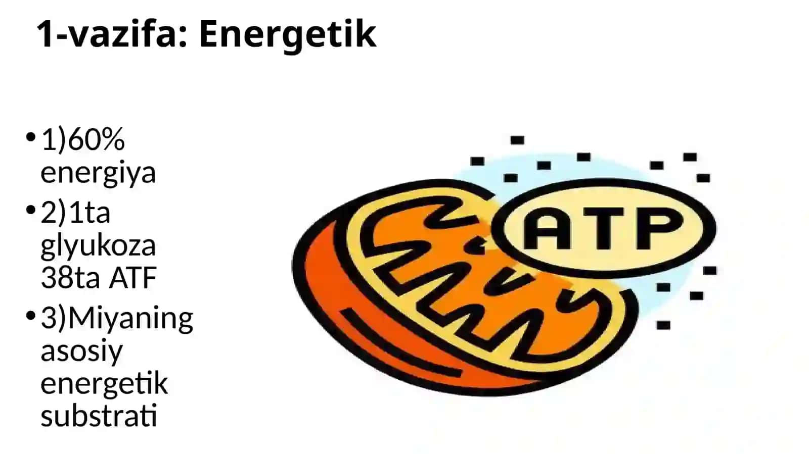 Uglevodlar almashinuvi 4