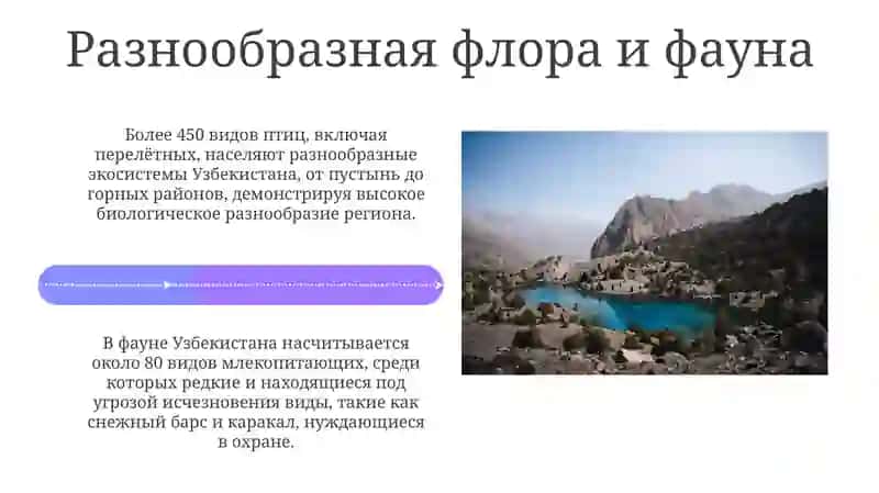 Узбекистан — прекрасный край 4