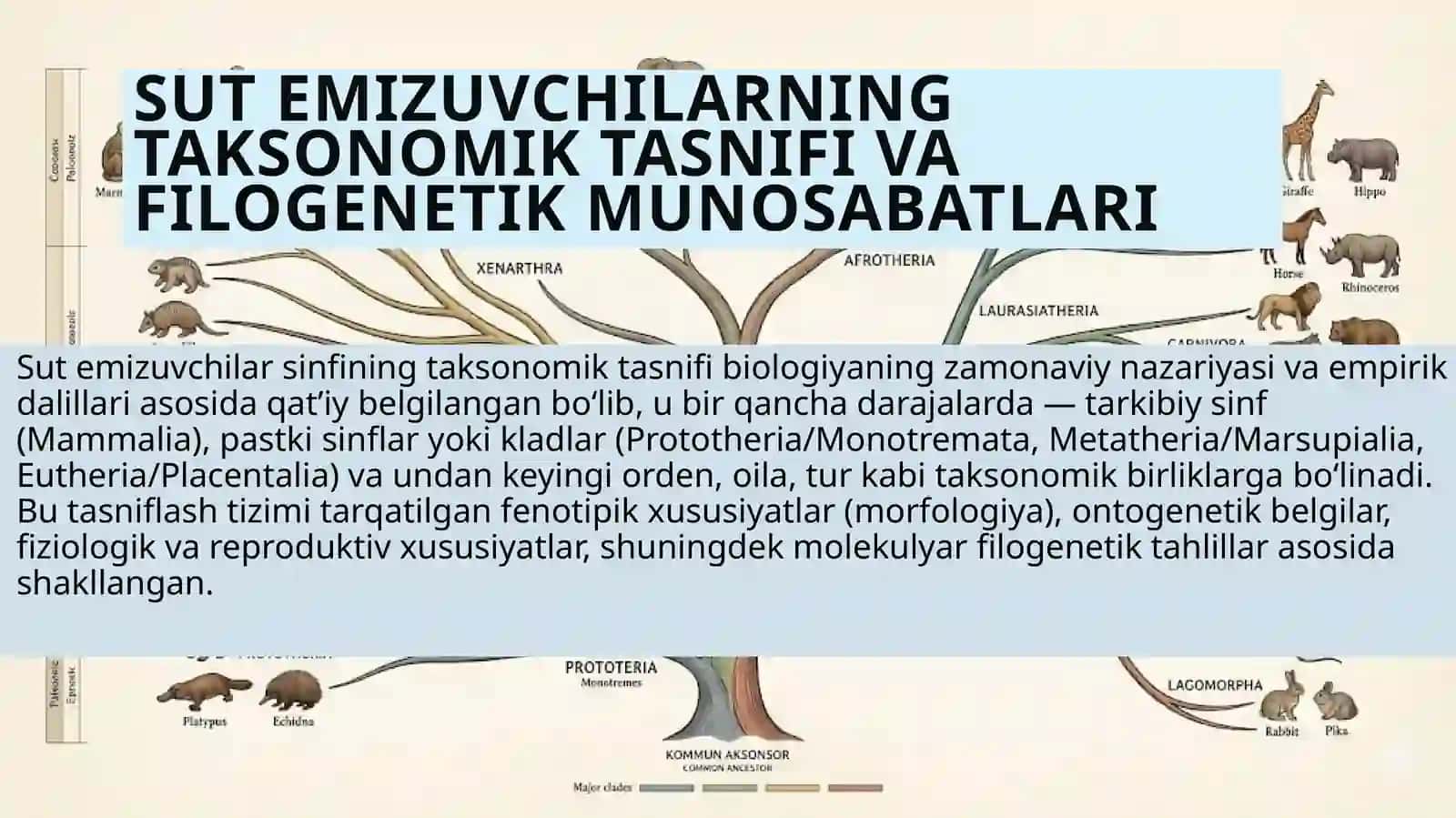SUT EMIZUVCHILAR SINIFI EKOLOGIYASI VA EVOLYUTSIYASI 4